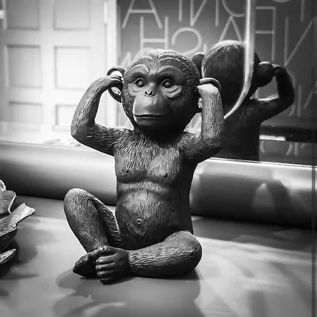 شقة Vivienda Turistica Mou *